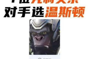 守望先锋归来温斯顿实战全解析：操作技巧与克制策略详解