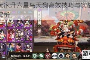 普通玩家升六星鸟天狗高效技巧与实战心得详细解析