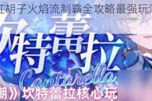 星陨传说红胡子火焰流制霸全攻略最强玩法与核心配置详解