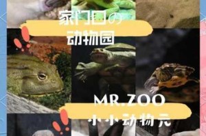萌趣贪吃小动物欢乐体验与玩法特色全揭秘