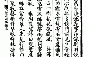 九重试炼寒鹭：全面深入剖析与详细解读