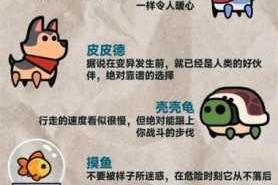 弹壳特攻队：全面解析如何装备宠物武器及搭配技巧