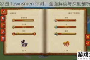 家园 Townsmen 评测：全面解读与深度剖析