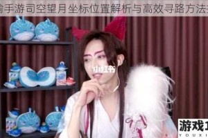 天谕手游司空望月坐标位置解析与高效寻路方法指引