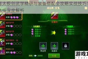 侠客太极剑武学精研与装备搭配全攻略实战技巧与属性选择深度解析