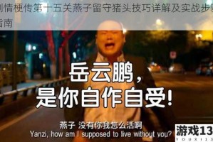 剧情梗传第十五关燕子留守猪头技巧详解及实战步骤指南