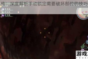 讨鬼传：深度解析手动锁定需要破坏部位的技巧与方法