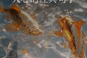 往昔不再，掩埋河如何度过？探寻过往与未来的交融之路