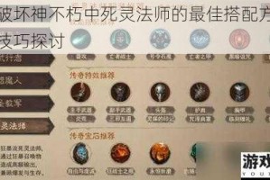 暗黑破坏神不朽中死灵法师的最佳搭配方式及相关技巧探讨