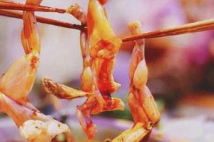 鲜香麻辣与奇幻捉妖碰撞解锁沉浸式火锅新体验邀你共赴舌尖盛宴
