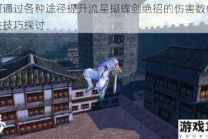 如何通过各种途径提升流星蝴蝶剑绝招的伤害数值及相关技巧探讨
