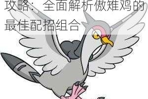 宝可梦剑盾高傲雉鸡配招攻略：全面解析傲雉鸡的最佳配招组合