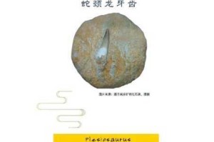 方舟生存进化中蛇颈龙怎么抓？抓蛇颈龙的实用技巧大揭秘