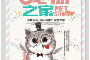 月光之城萌宠指南：新手必看宠物推荐与挑选攻略