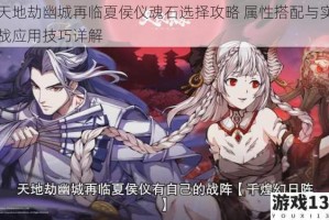 天地劫幽城再临夏侯仪魂石选择攻略 属性搭配与实战应用技巧详解