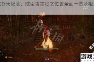 卧龙苍天陨落：贼臣夜笙歌之位置全面一览及相关解读