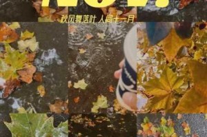 以落雨落叶结局为核心，详细阐述各分支结局完美达成的详细攻略