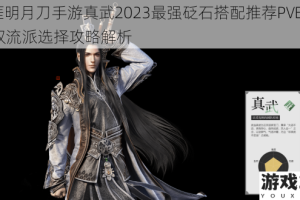 天涯明月刀手游真武2023最强砭石搭配推荐PVE与PVP双流派选择攻略解析