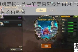 DNF 特别宠物礼盒中的宠物究竟是否为永久存在，这一疑问亟待解答