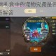 DNF 特别宠物礼盒中的宠物究竟是否为永久存在，这一疑问亟待解答