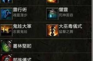 暗黑破坏神3巫医单人挑战拉卡诺斯全技巧装备配置与实战细节详解