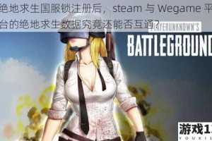 绝地求生国服锁注册后，steam 与 Wegame 平台的绝地求生数据究竟还能否互通？