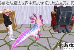 探寻创造与魔法世界中顽皮蝾螈的踪迹究竟在何处？