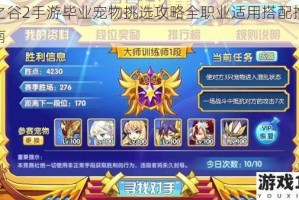 龙之谷2手游毕业宠物挑选攻略全职业适用搭配推荐指南
