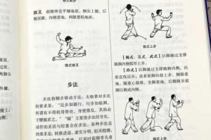 太极熊猫新手必看秘籍三十招快速掌握基础操作与实战心得解析