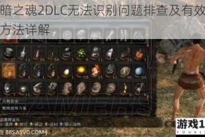 黑暗之魂2DLC无法识别问题排查及有效解决方法详解