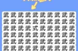 汉字找茬王第153关通关秘诀生僻字识别技巧与快速过关步骤解析