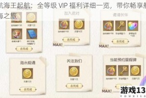 航海王起航：全等级 VIP 福利详细一览，带你畅享航海之旅