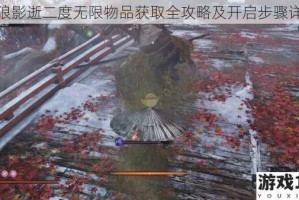 只狼影逝二度无限物品获取全攻略及开启步骤详解