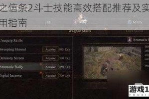 龙之信条2斗士技能高效搭配推荐及实战应用指南