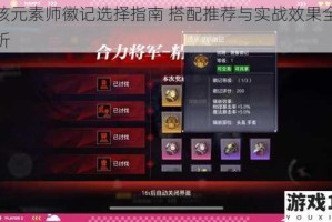 晶核元素师徽记选择指南 搭配推荐与实战效果全面解析