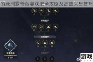 最后的绿洲露普藤蔓获取全攻略及高效采集技巧详解