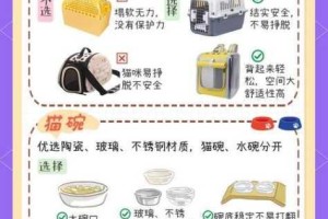 萌新必看猫旅馆物语全攻略 新手快速入门指南打造温馨猫咪旅店秘诀