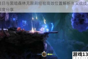 奥日与黑暗森林无限刷经验高效位置解析与实战技巧深度分享
