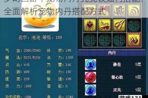 梦幻西游中宠物内丹究竟该如何搭配？全面解析宠物内丹搭配方式