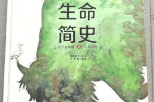 生命简史：科技加点该如何加？DNF 生命简史的数据分析