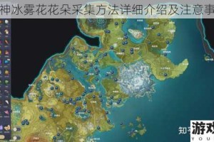原神冰雾花花朵采集方法详细介绍及注意事项