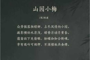 疏影暗香月黄昏林逋诗境中梅花的意象诠释