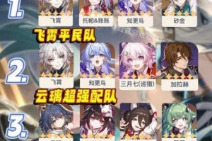 FGO国服德雷克阵容搭配全攻略高效组队技巧与实战心得分享