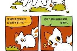 功夫喵星人猫猫突击队：新手攻略及新手玩法详细讲解