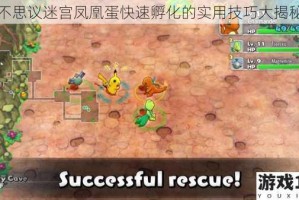 不思议迷宫凤凰蛋快速孵化的实用技巧大揭秘