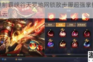神控张良制霸峡谷天罗地网锁敌步履超强掌控决胜王者战场风云