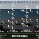 光遇集结季落幕倒计时 赛季结束时间及注意事项一览