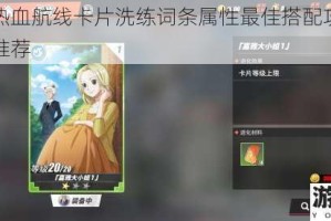 航海王热血航线卡片洗练词条属性最佳搭配攻略与选择技巧推荐