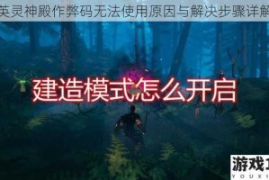 英灵神殿作弊码无法使用原因与解决步骤详解