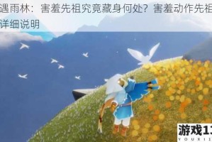 光遇雨林：害羞先祖究竟藏身何处？害羞动作先祖位置详细说明